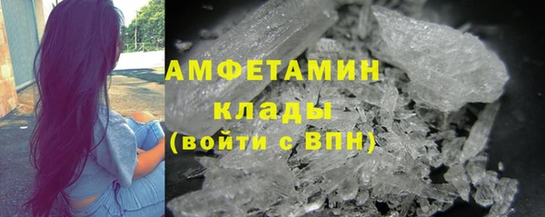 шишки Саяногорск